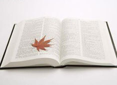 曼彻斯特城力克拜仁慕尼黑进四强