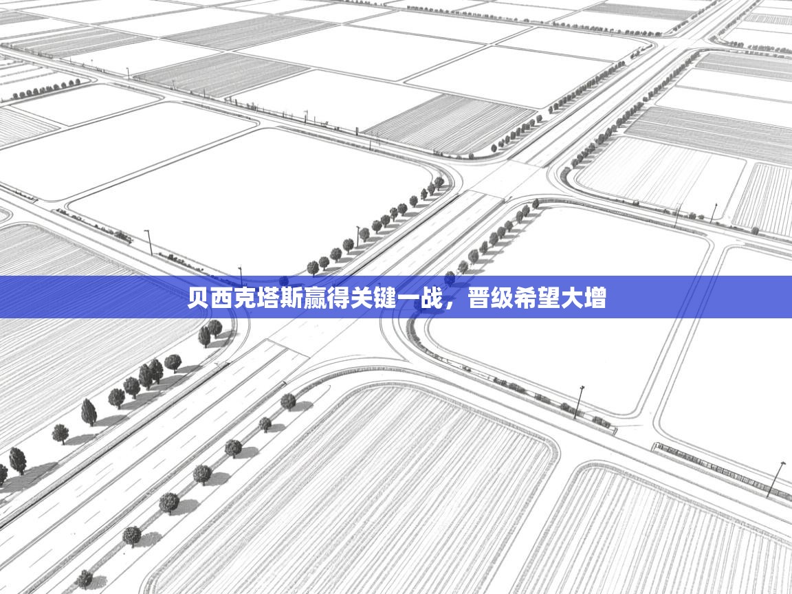 贝西克塔斯赢得关键一战，晋级希望大增