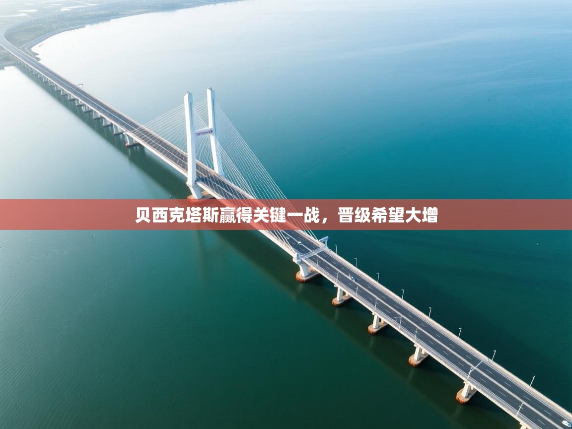 贝西克塔斯赢得关键一战,晋级希望大增 第2张