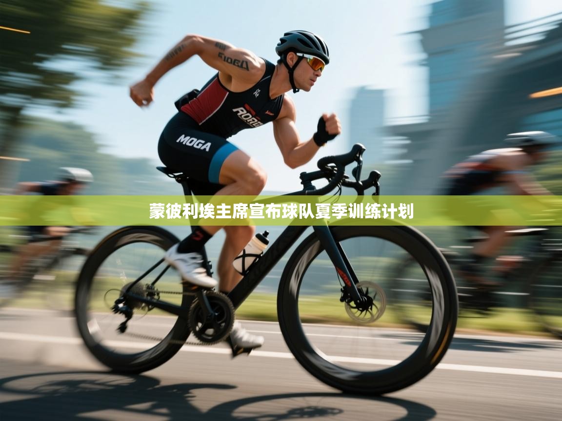 蒙彼利埃主席宣布球队夏季训练计划 第2张