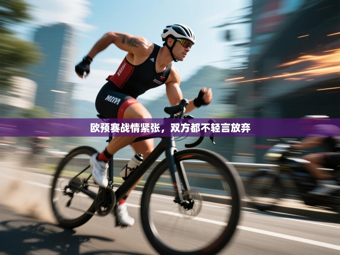 欧预赛战情紧张，双方都不轻言放弃  第1张