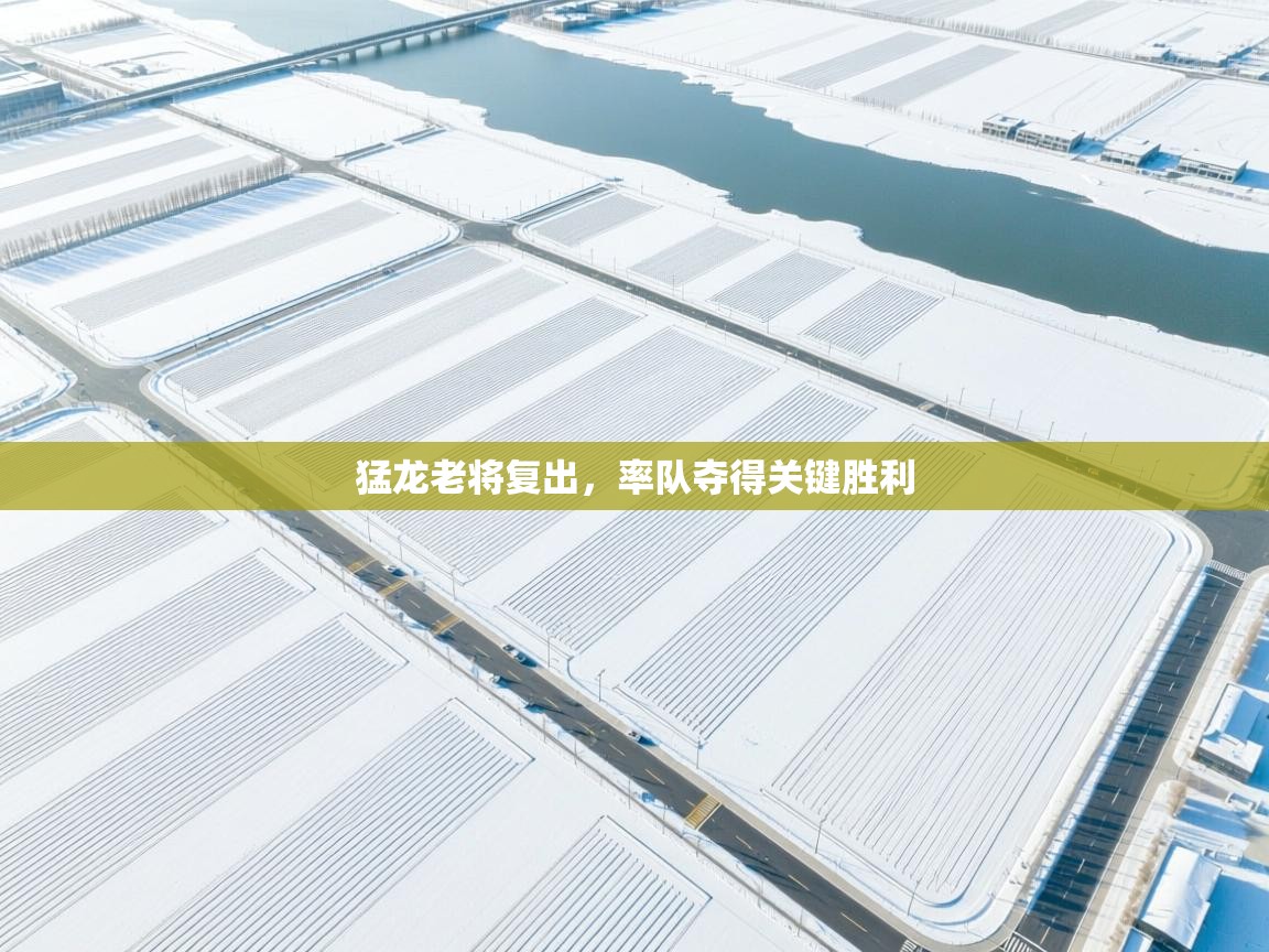 猛龙老将复出，率队夺得关键胜利