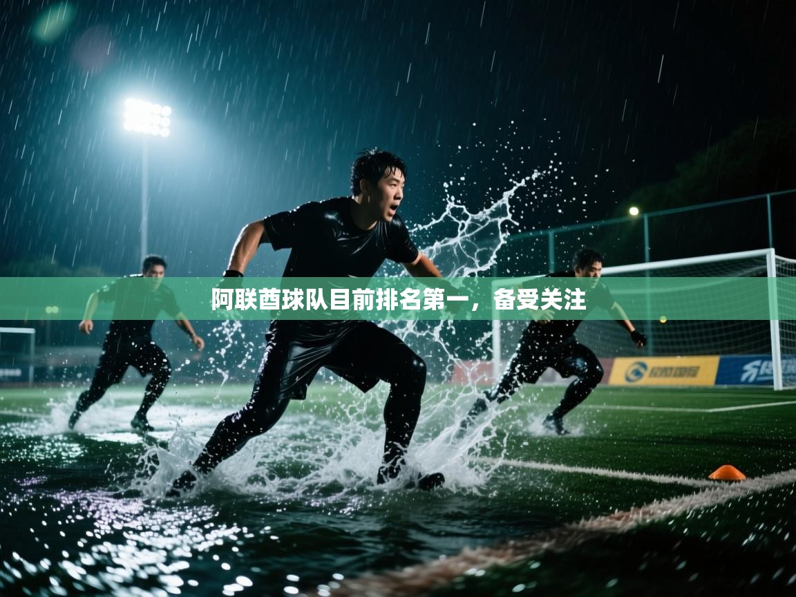 阿联酋球队目前排名第一，备受关注  第2张