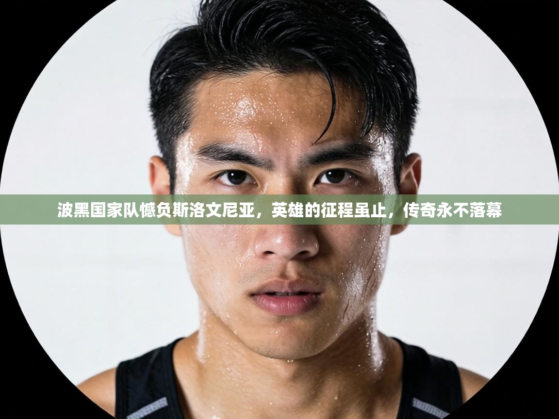 波黑国家队憾负斯洛文尼亚,英雄的征程虽止,传奇永不落幕 第1张